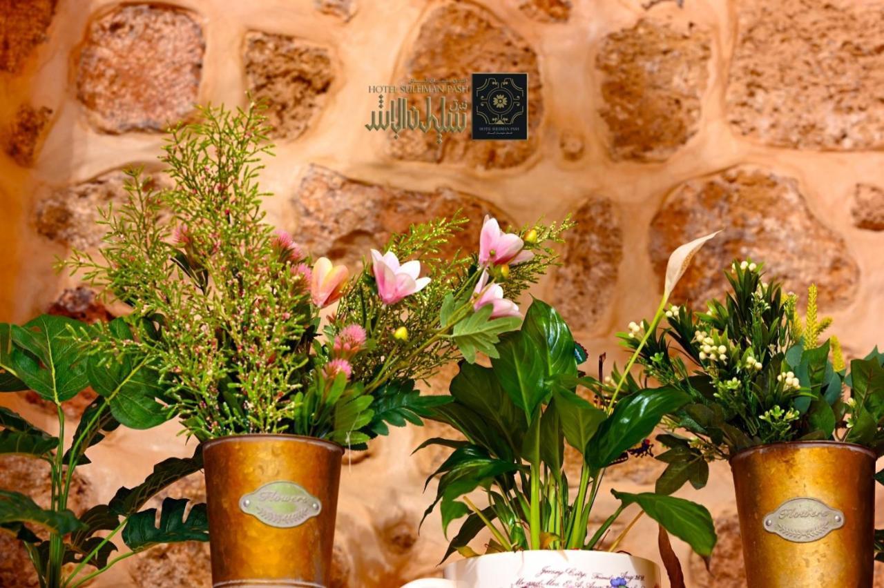 Apartment Suleiman Pash